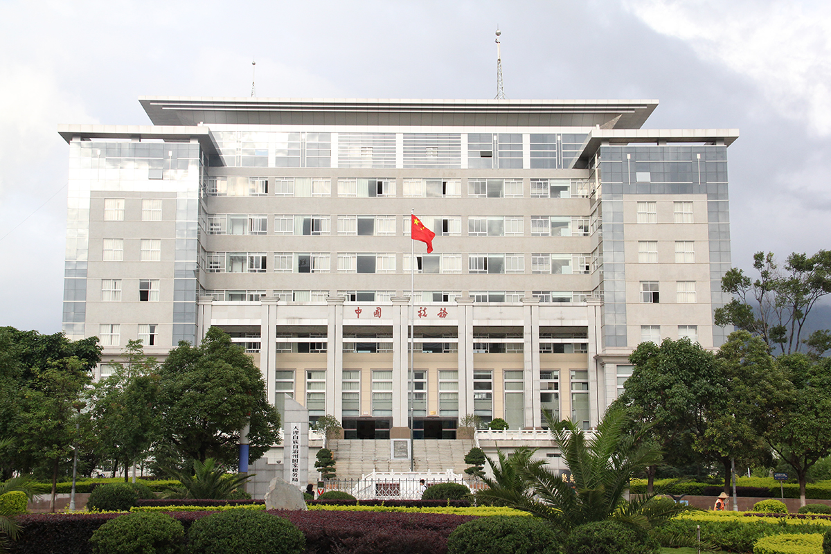 大理国税